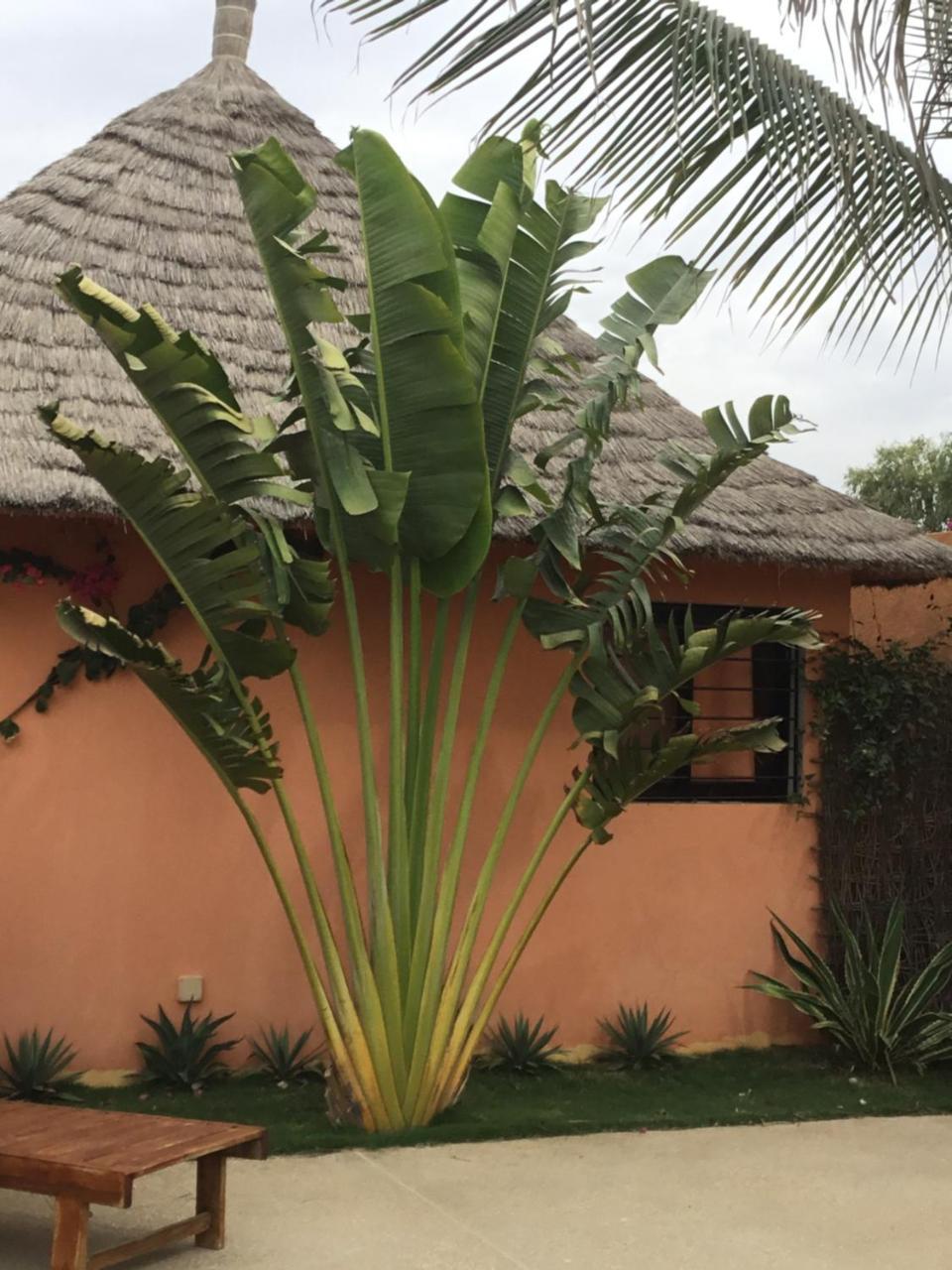 Terra Lodge Senegal M'Bour Ngoại thất bức ảnh
